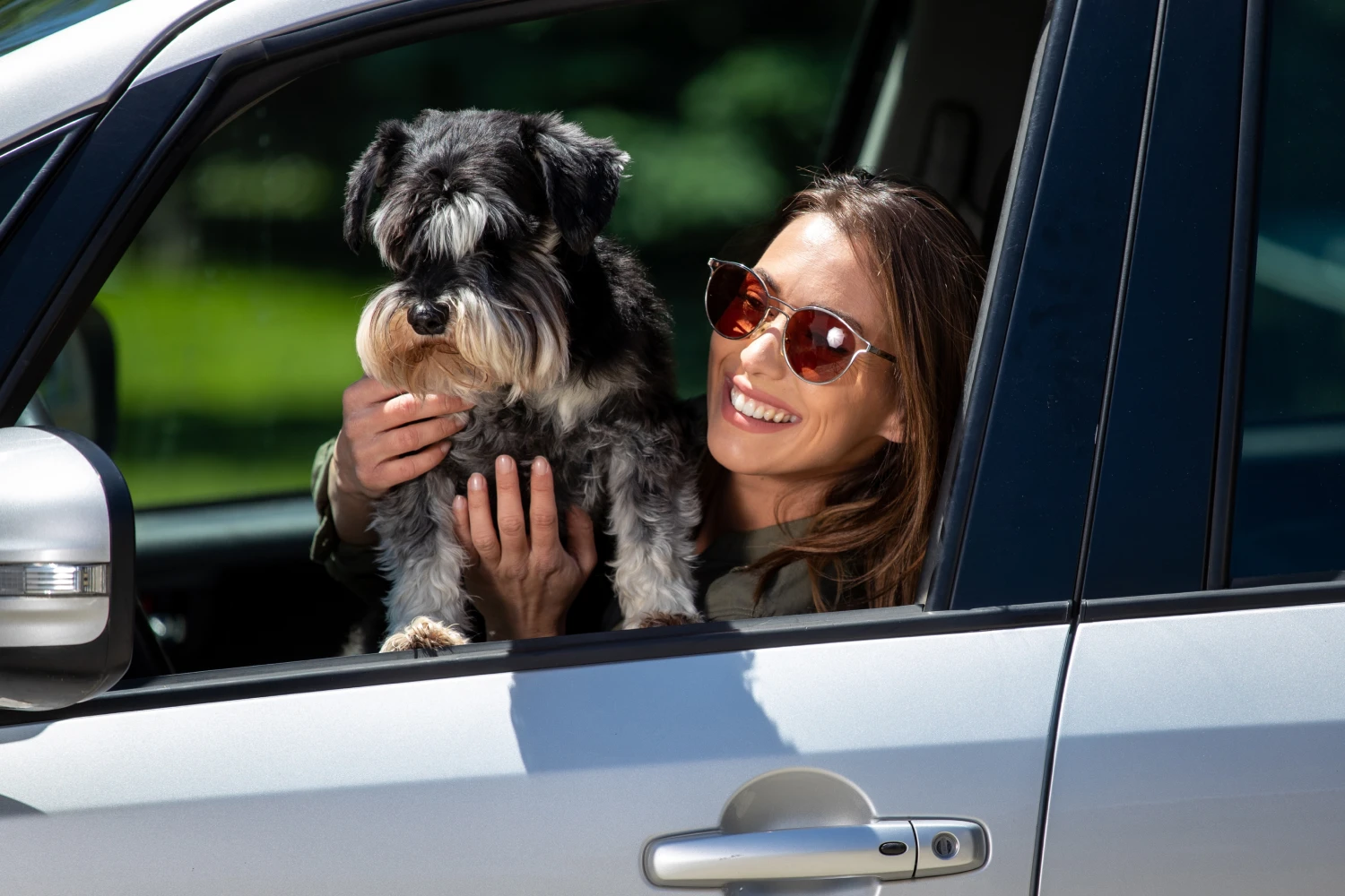 Ford Fusion Dog Car Seat Belt for Miniature Schnauzers