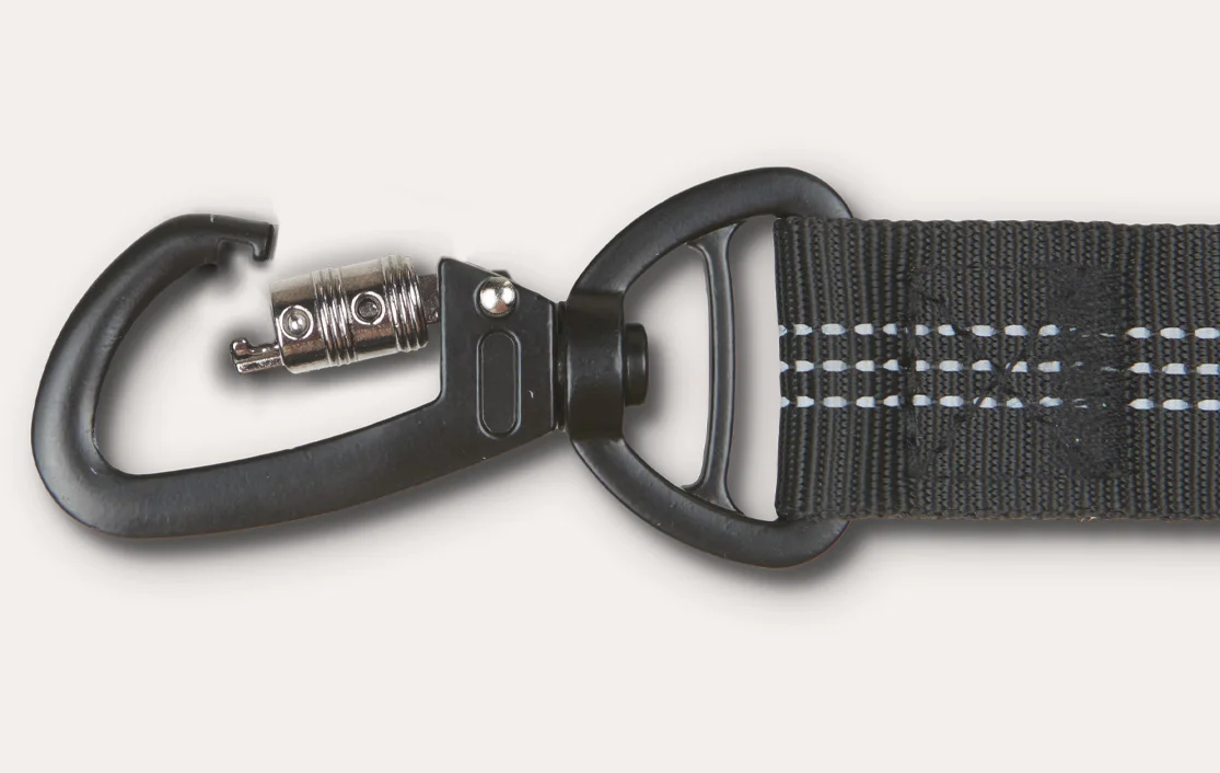 Ford Fusion Dog Car Seat Belt for Miniature Schnauzers