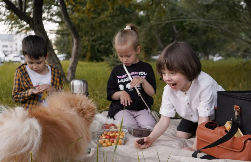 rolled picnic blanket