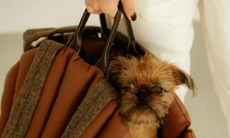 Dog Carrier Purse for Norwich Terrier